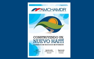 Improvements to the Law for Commercial Restructuring and Judicial Liquidation. Conclusions of the AMCHAMDR Task Force and the CNC on the preliminary draft