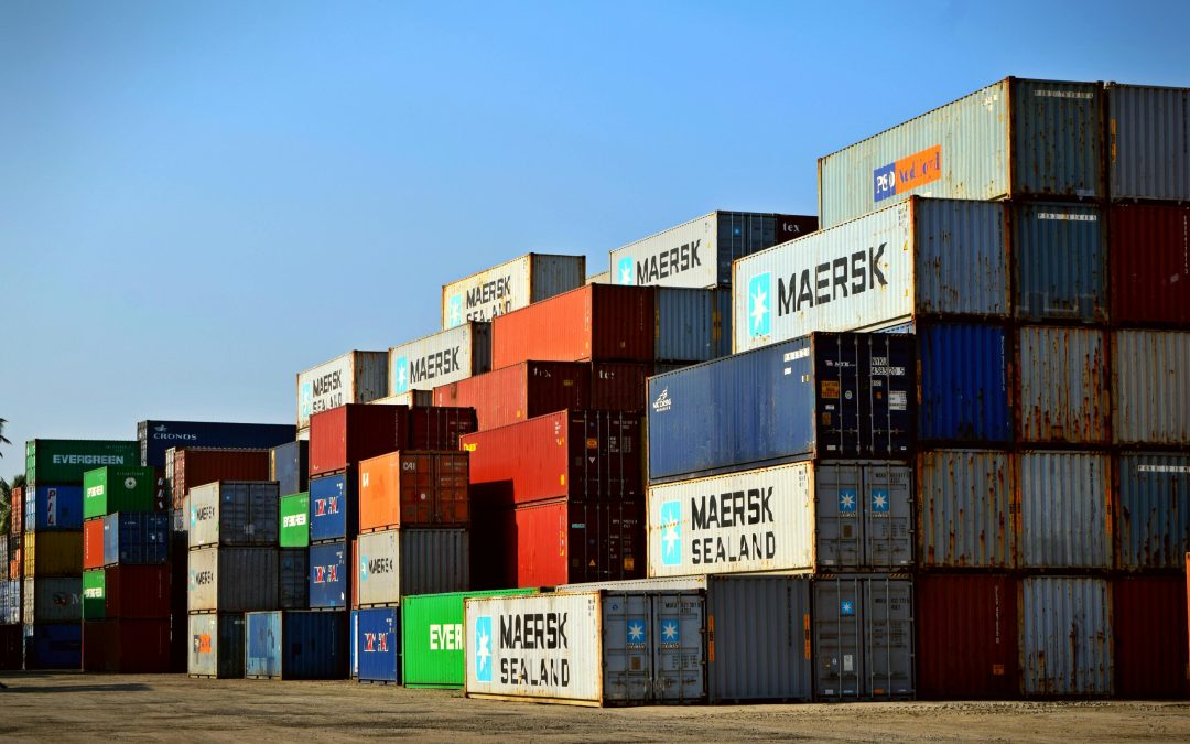 2024: Record Year for Exports and Foreign Investment in the Dominican Republic